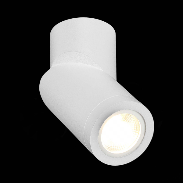ST650.502.01 Светильник потолочный Белый GU10 1*50W IP20 D62xH151 180-240V Без ламп Накладные светильники, изображение 4