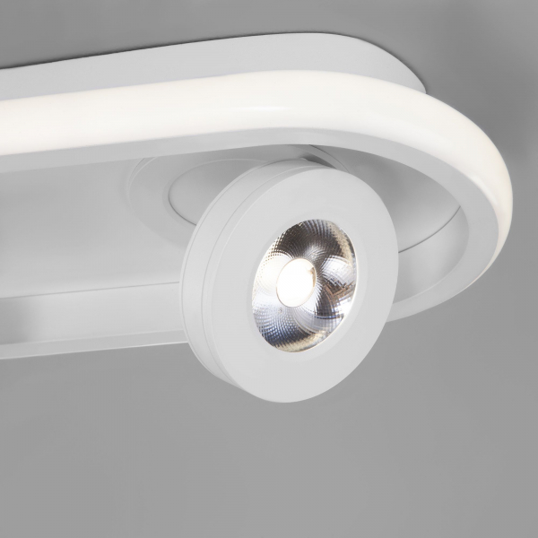 Потолочный светодиодный светильник в стиле лофт 20123/2 LED белый, изображение 3
