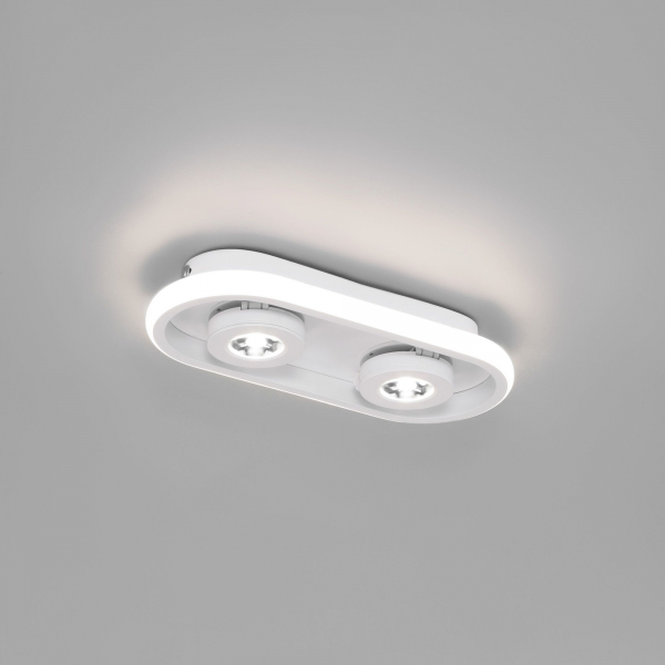 Потолочный светодиодный светильник в стиле лофт 20123/2 LED белый, изображение 2