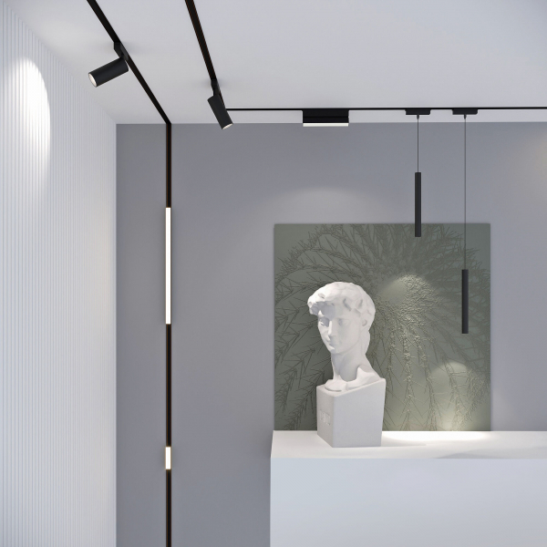 Flat Magnetic Трековый светильник 6W 4000K Insight (чёрный) 85090/01, изображение 9