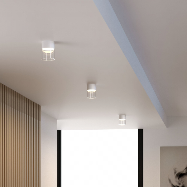 Светильник потолочный светодиодный 10W 4000К белый/прозрачный 25047/LED, изображение 3