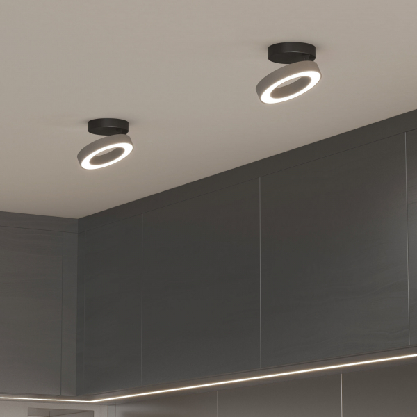Накладной светодиодный светильник Spila серебро 12W 4200К 25105/LED, изображение 2