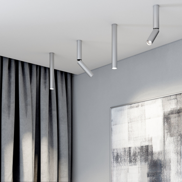Накладной светодиодный светильник Pika 25030/LED 6W 4200K серебро, изображение 2