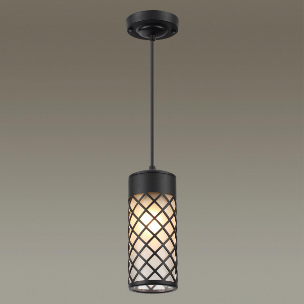 4834/1 NATURE ODL21 646 черный/стекло Ландшафтный светильник-подвес E27 1*60W IP44 DUNES, изображение 3