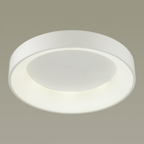 4066/40CL L-VISION ODL19 383 белый/серый Люстра потолочная с ДУ LED 40W 220V SOLE, изображение 3