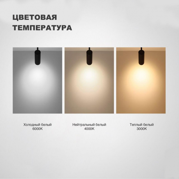 Трек 358737 (1фаза, 3 жилы) LED 3000К\4000К\6000К 10W NAIL, изображение 2