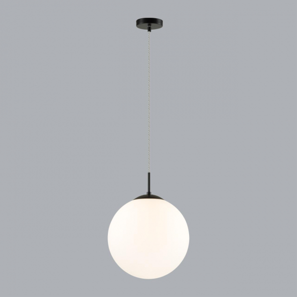 6510/1A SUSPENTIONI LN23 196 чёрный Подвес E27 1*60W 220V SUMMER, изображение 2