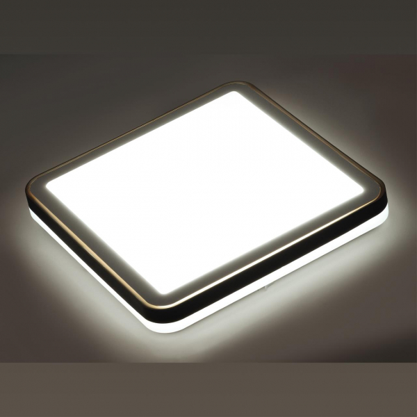 7621/DL PALE SN 108 Светильник пластик/черн./медный LED 48Вт 3000-6300K 440х440 IP43 пульт ДУ EFFA, изображение 6