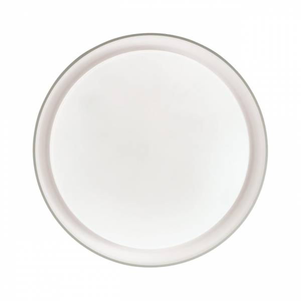 3030/DL TAN SN 056 Светильник пластик/белый LED 48Вт 3000-6500K D410 IP43 пульт ДУ/ LampSmart BIONIC, изображение 4