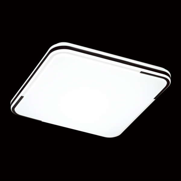 3059/CL PALE SN 179 Светильник пластик/белый/черный LED 30Вт 4000К 330х330 IP43 ORSO, изображение 2