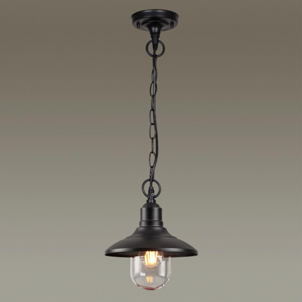 4965/1 NATURE ODL22 639 черный/стекло Ландшафтный подвес E27 1*60W IP44 CAMPA, изображение 3