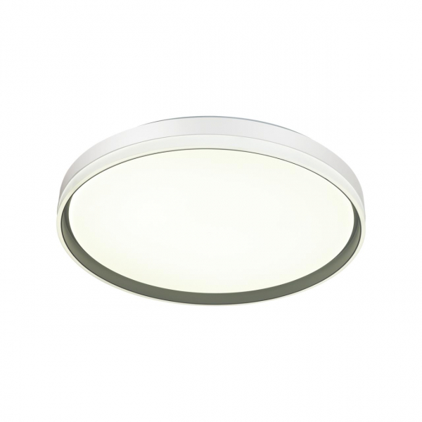 7631/DL PALE SN 106 Светильник пластик/светло-серый LED 48Вт 3000-6300K D390 IP43 пульт ДУ SAVI, изображение 3