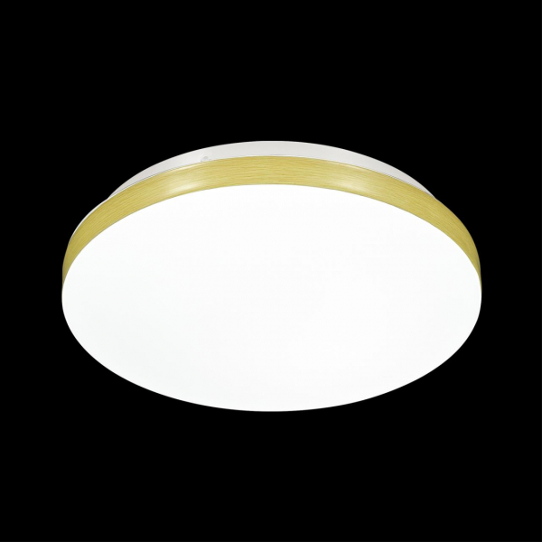 3066/AL MINI SN 159 Светильник пластик/белый/под светлое дерево LED 12Вт 4000К D215 IP43 SMALLI, изображение 2