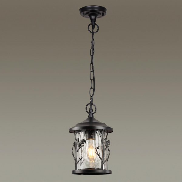4963/1 NATURE ODL22 639 черный/стекло Ландшафтный подвес E27 1*60W IP44 CUITA, изображение 3