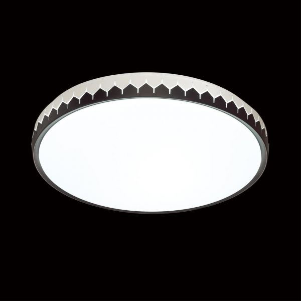 3053/DL PALE SN 023 Светильник пластик/белый/черный LED 48Вт 3000-6300К D385 IP43 пульт ДУ DORTA, изображение 3
