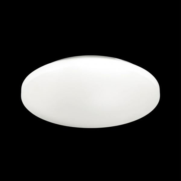 3017/DL PALE SN 171 Светильник пластик/белый LED 48Вт 4000K D400 IP43 SIMPLE, изображение 2