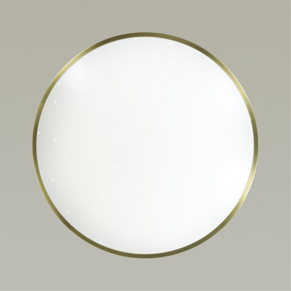 2089/DL PALE SN 079 Светильник пластик/белый/бронза LED 48Вт 3000-6300K D440 IP43 пульт ДУ LOTA BRONZE, изображение 4