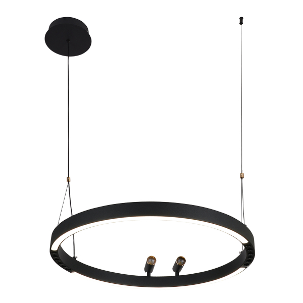 4474-1P, подвесная люстра, D600xH1000/1800, LEDx58W + 2xLEDx3W, 3000-6500K, included, remote control, изображение 7