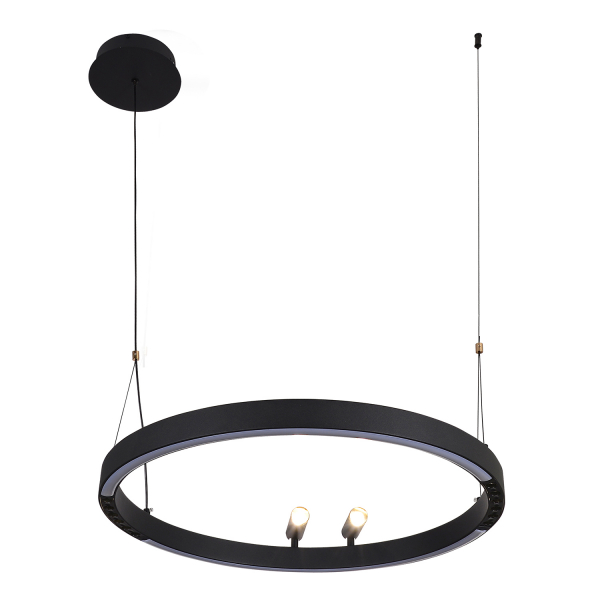 4474-1P, подвесная люстра, D600xH1000/1800, LEDx58W + 2xLEDx3W, 3000-6500K, included, remote control, изображение 2