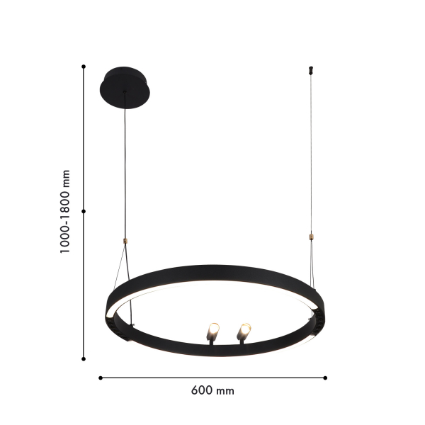 4474-1P, подвесная люстра, D600xH1000/1800, LEDx58W + 2xLEDx3W, 3000-6500K, included, remote control, изображение 3