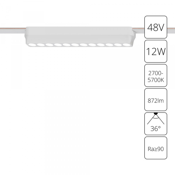 A2954PL-1WH