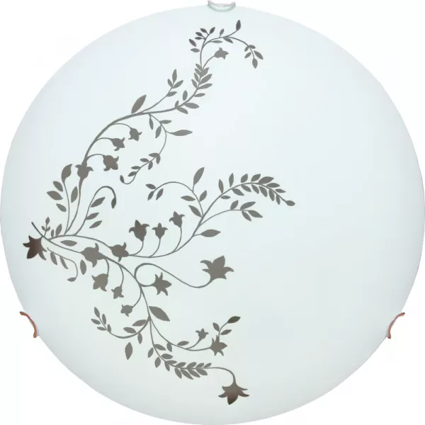 Потолочный светильник Arte Lamp ORNAMENT A3820PL-2CC