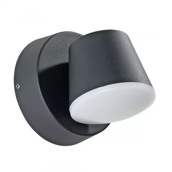 Уличный настенный светильник Arte Lamp CHICO A2212AL-1BK