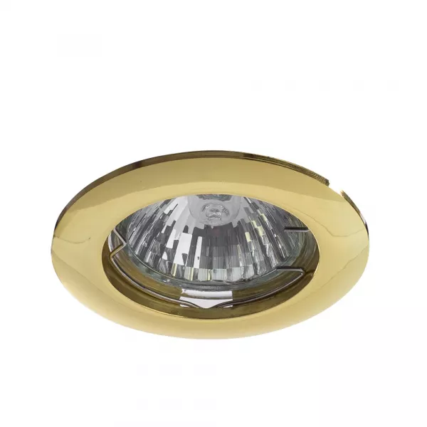 Точечный встраиваемый светильник Arte Lamp BASIC A2103PL-1GO