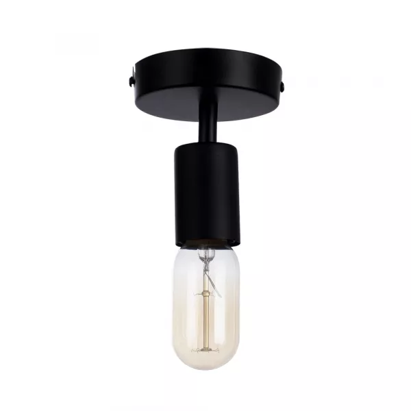 Потолочный светильник Arte Lamp FUORI A9184PL-1BK