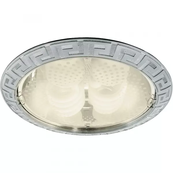 Точечный встраиваемый светильник Arte Lamp DOWNLIGHTS A8015PL-2SS