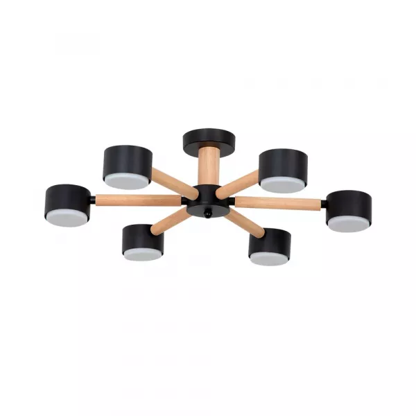 Потолочная люстра Arte Lamp TENDA A1624PL-6BK