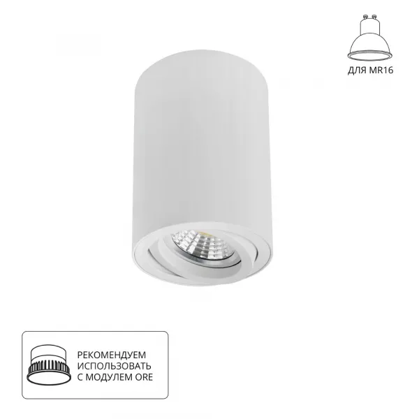 Точечный накладной светильник Arte Lamp SENTRY A1566PL-1WH