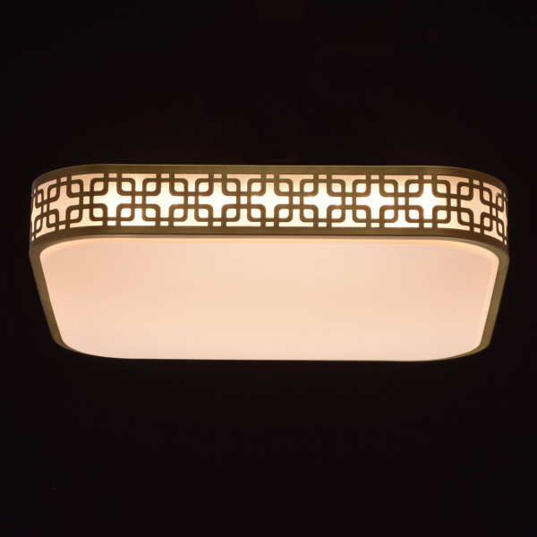 674015001 Ривз 40W LED 220 V люстра