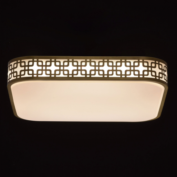 674015001 Ривз 40W LED 220 V люстра